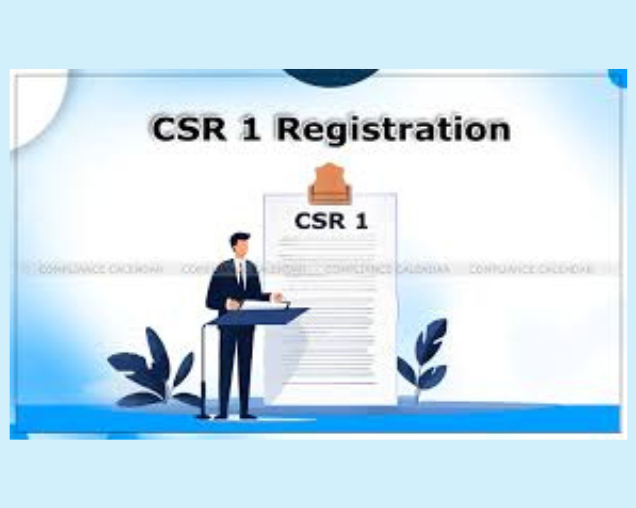 CSR-1 Filing — Anubodh Law Firm