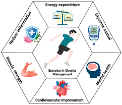 Obesity Management — Madhavbaug Clinic