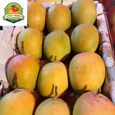 GI Certified Devgad Alphonso Mangoes