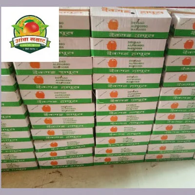 Easy Ordering via Call & WhatsApp
