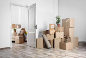 🏢 Apartment Relocation Services