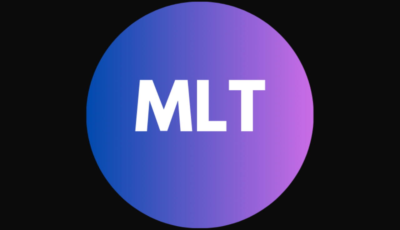 MLT Multi Services logo